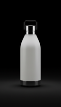 stainless steel bottle